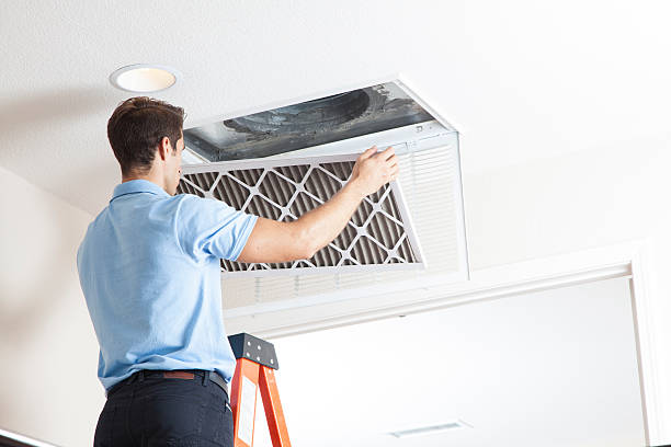Best HVAC Tune-Up Services  in Ives Estates, FL
